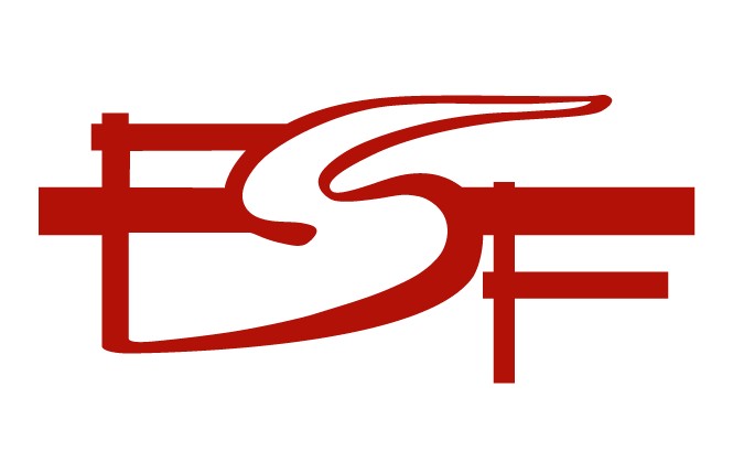 [FREE SOFTWARE FOUNDATION]